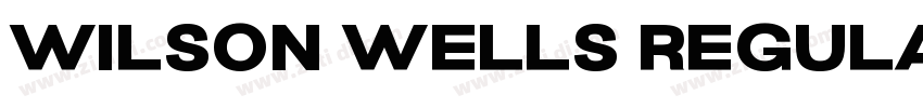 Wilson wells Regular字体转换